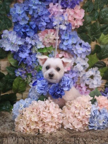 20250622ヒメちゃん